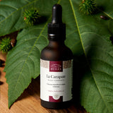 Fond de feuilles vertes foncées avec une planche de bois, une huile de carapate de la marque Comptoir des Huiles est posée devant. C'est une huile gainante pour les cheveux bouclés et crêpus.