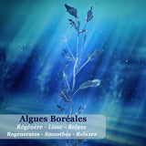 Gel douche revitalisant aux algues boréales - Nuit Polaire