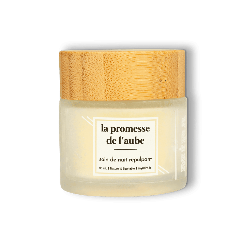 Baume de nuit repulpant et nourrissant