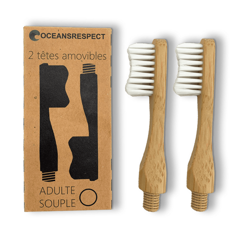 Lot de 2 têtes de brosse à dents rechargeable