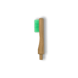 Tête de rechange pour brosse à dents en bambou rechargeable