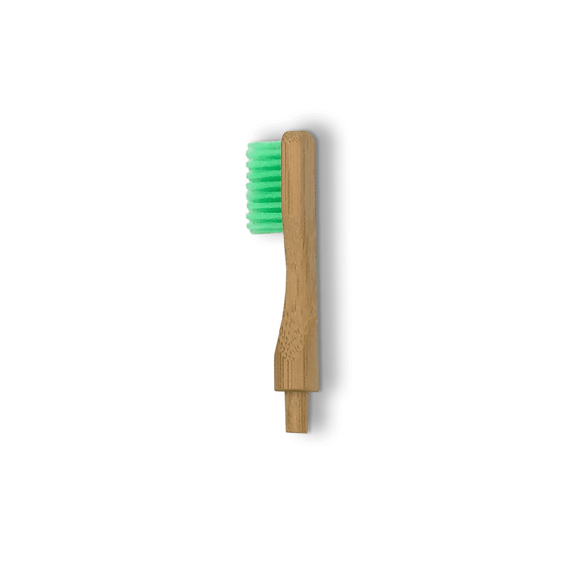 Tête de rechange pour brosse à dents en bambou rechargeable