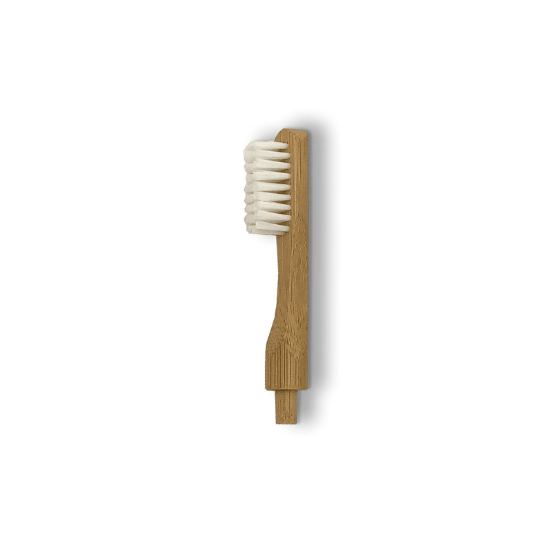 Tête de rechange pour brosse à dents en bambou rechargeable