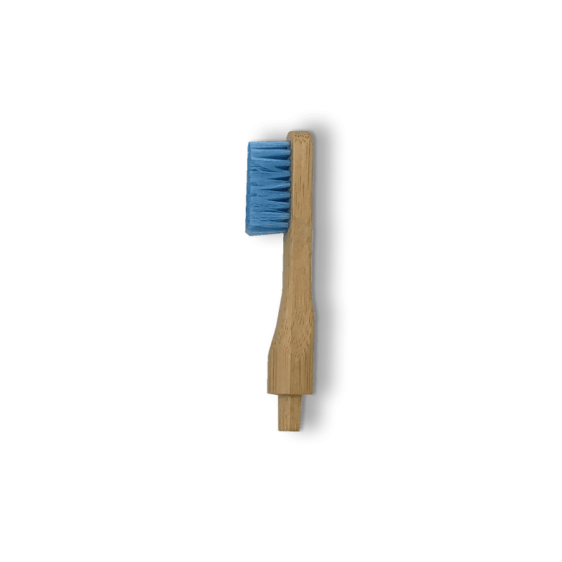 Tête de rechange pour brosse à dents en bambou rechargeable