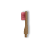 Tête de rechange pour brosse à dents en bambou rechargeable