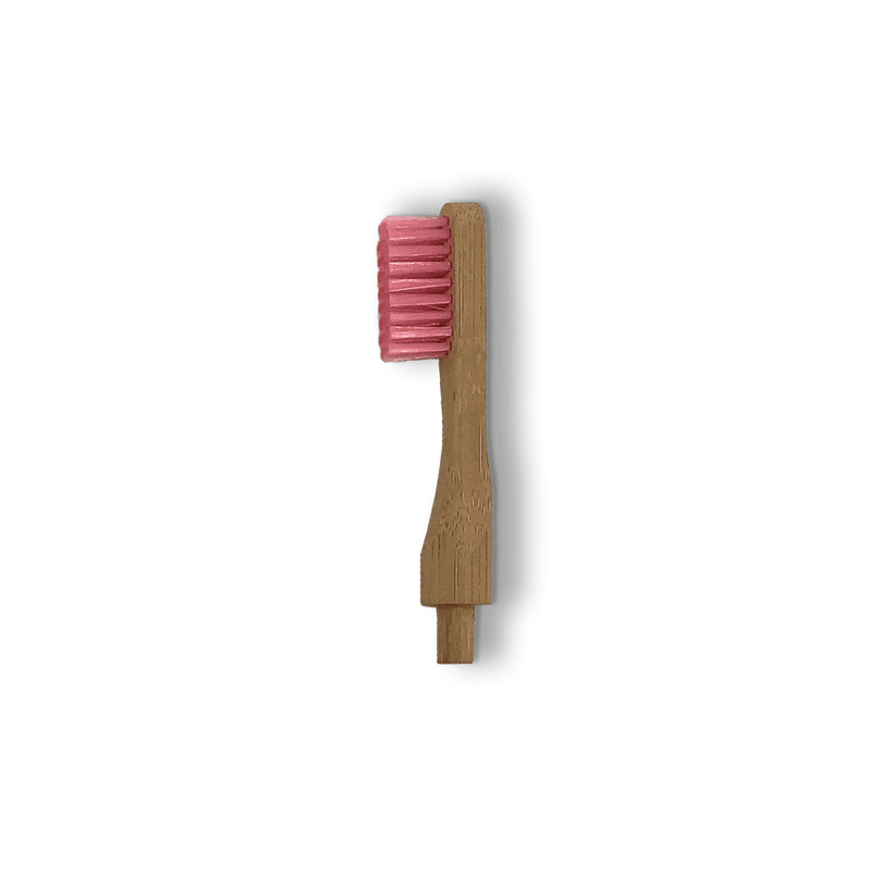 Tête de rechange pour brosse à dents en bambou rechargeable