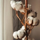 Coffret lingettes démaquillantes lavables