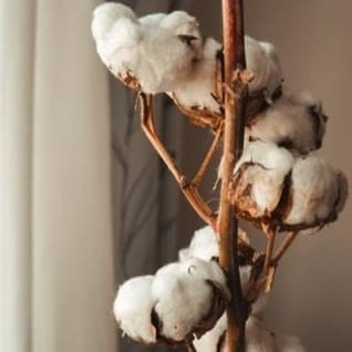 Coffret lingettes démaquillantes lavables